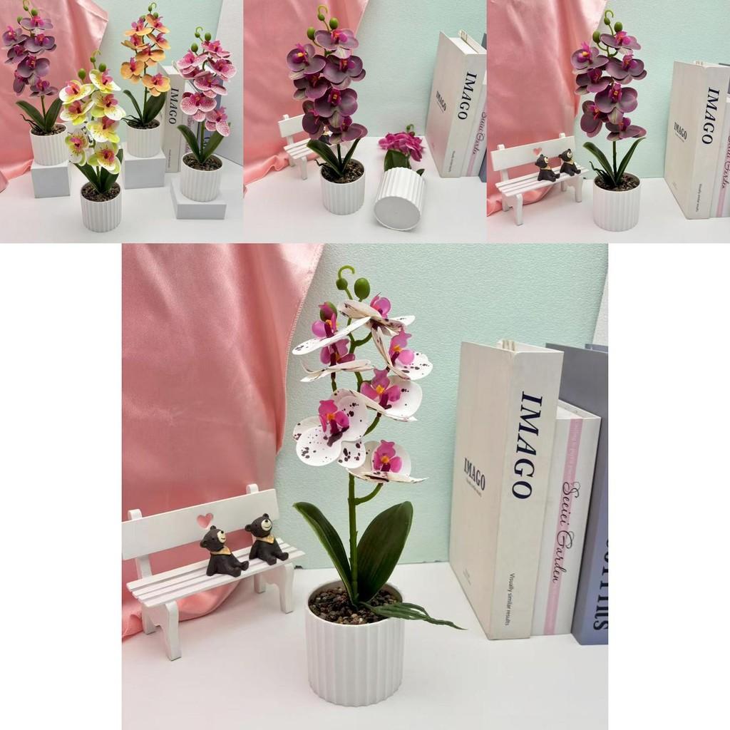 Butterfly Orchid Artificial Potted Plant For Wedding Decor And Photography Props