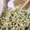 9 Single Chamomile Simulation Flower Daisy Bouquet Living Room Fake Daisy Decoration Chrysanthemum Dried Flower Decor