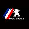 2PCS LED Car Door Welcome Light Interior for Peugeot 407 M2008-2010 Auto Projector Shadow Lamp Decorative Accessoires