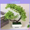 Artificial Chrysanthemum Miniature Green Plant Decor For Home Office