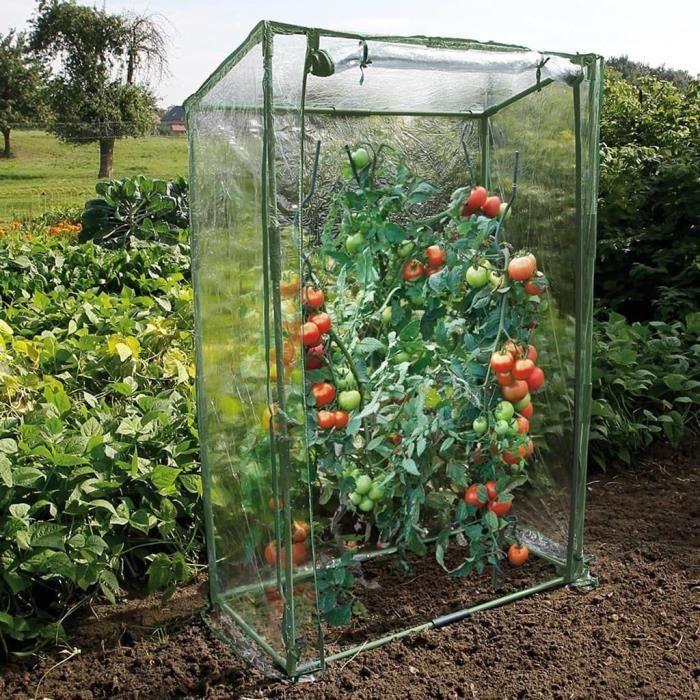 Nature Tomato Greenhouse 100x50x150 Cm