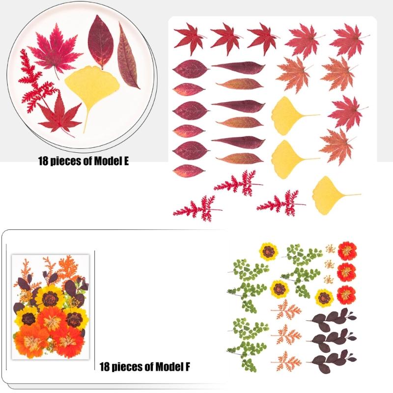 Natural Dried Flower For Epoxy Resin Molds Dry Flowers and Leaves Set for Art Craft Candle Jewelry Making Scrapbooking