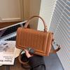 Spring high-end texture small bag trendy women's bag popular shoulder messenger bag fashionable portable small square bag