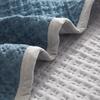 Tianqin Dolog Ice Silk Summer Cooling Quilt