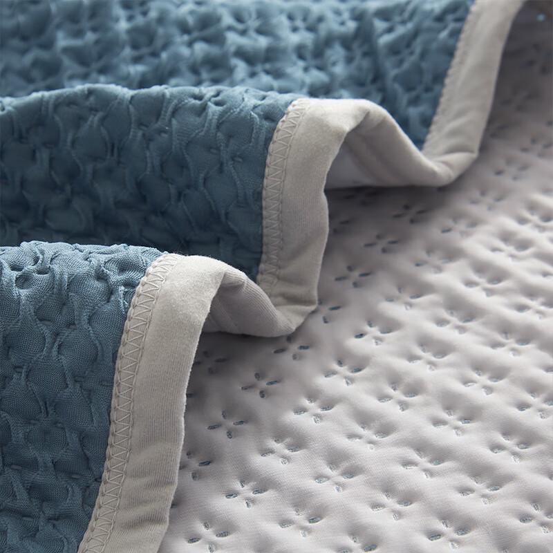 Tianqin Dolog Ice Silk Summer Cooling Quilt