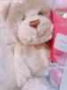 [USED] Teddy Bear (with Flower Soap)