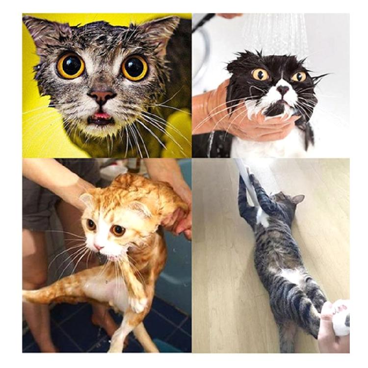 Cats Fixed Mesh Bag for Hair Cutting AntiScratch Cats Trimming Bath Bag Supply