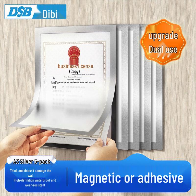 DSB A3 Magnetic Display Frame