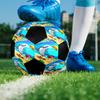 Zig & sharko Theme Size 5 Soccer Ball, Suitable for Both Indoor and Outdoor Matches, a Gift Suitable for Everyone.