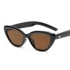 New Cat Eye Sunglasses Women Men Luxurious Brand Designer Casual Sun Glasses Female Male Cateye Frame Outdoor Eyewear