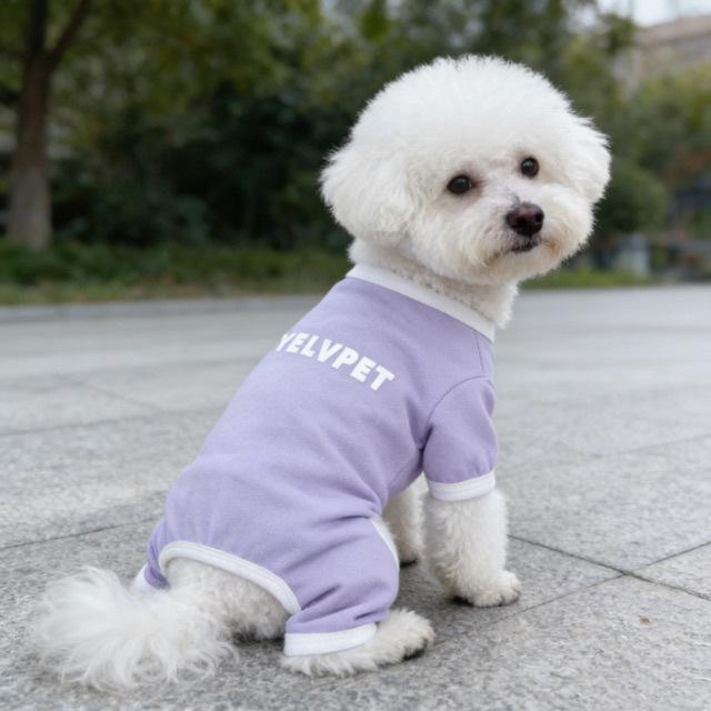 Vêtements pour animaux de compagnie pour chiens et chats: Combinaison à quatre pattes, Anti-moustiques, pour Grandes Races - Idéale pour la Climatisation, Teddy, Bichon.