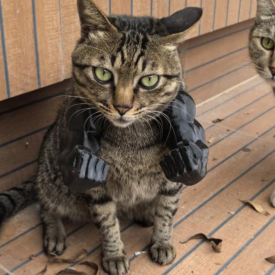 2Pcs Cat Muscle Arm 3D Printed Funny Cat Neck Arm with Muscle Superhero Cosplay Costume Funny Pet Photography Props Birthday Party Supplies