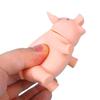Pet Puppy Supplies Chew Squeaker Squeaky Rubber Sound Pig Funny Dog Toys