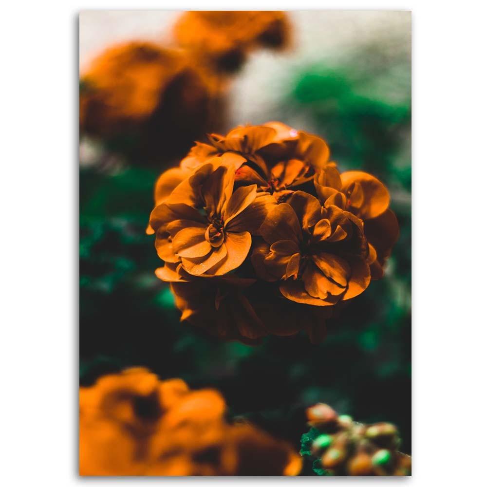 Canvas print, Orange flowers