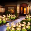 Outdoor Solar Shore Flower Lights, Waterproof LED Garden Stake Lamps, Decorative Landscape Lighting for Courtyard Lawn Patio Yard Decor