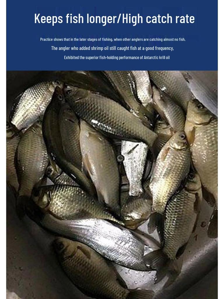 Antarktisches Krillöl Angelzusatz: Köder mit starkem Fischgeschmack für Brasse, Karpfen und Tilapia