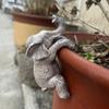 Resin Crafts Cute Elephant Statue Charming Elephant Flower Pot Hugger  Garden Balcony Decor