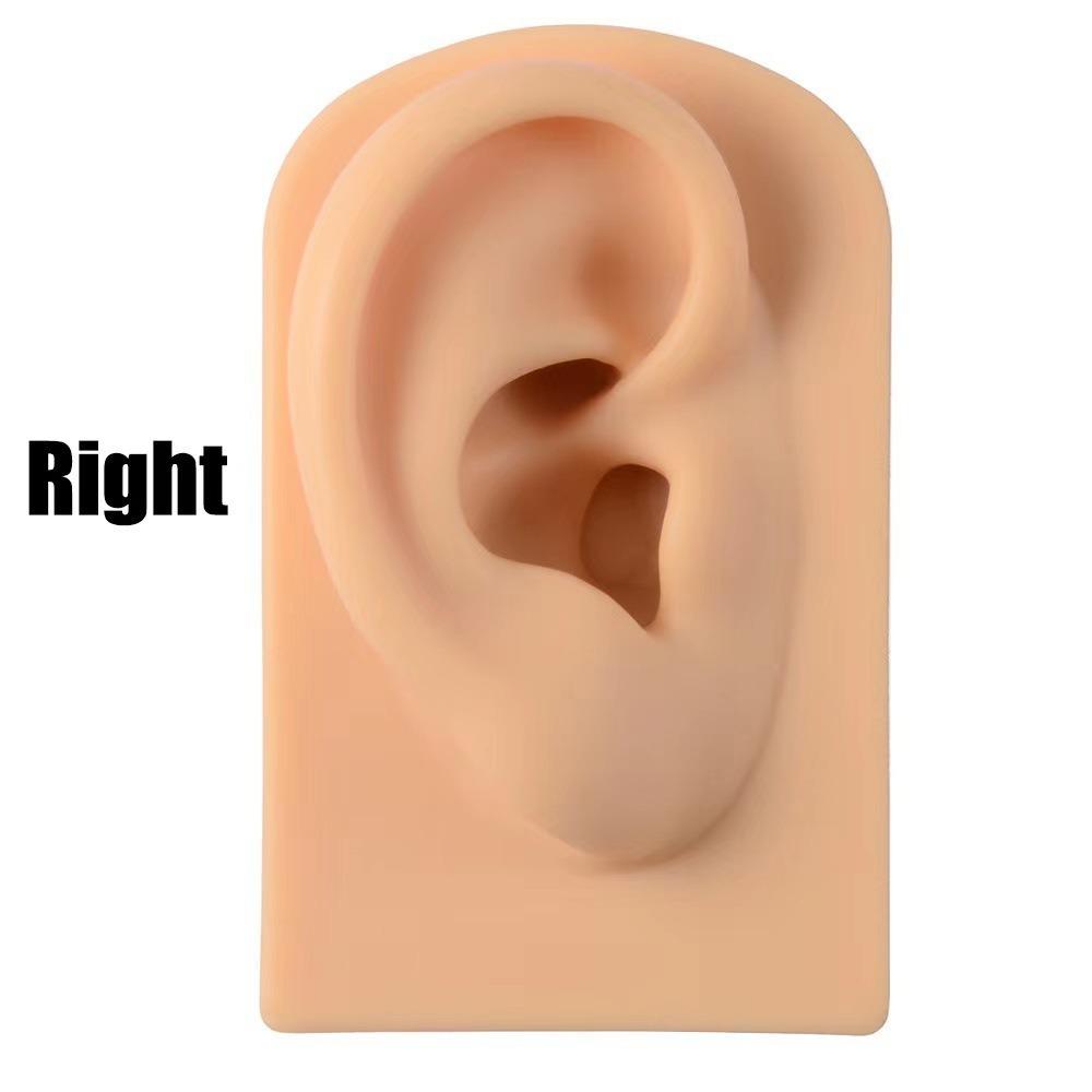 

Lightweight Human Ear Model Rack Piercing Tool Earrings Display Stand Girls Women Nude-Right