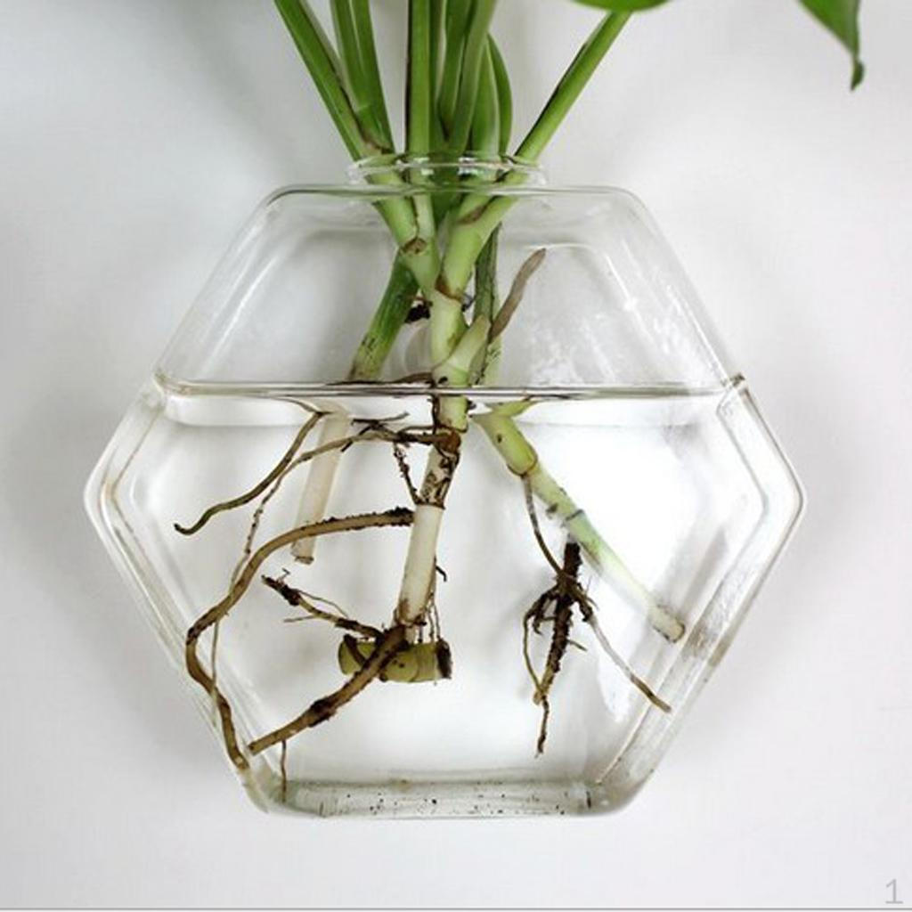 Glass Vase Flower Pot Fish Tank Terrarium Wall Hanging Pots