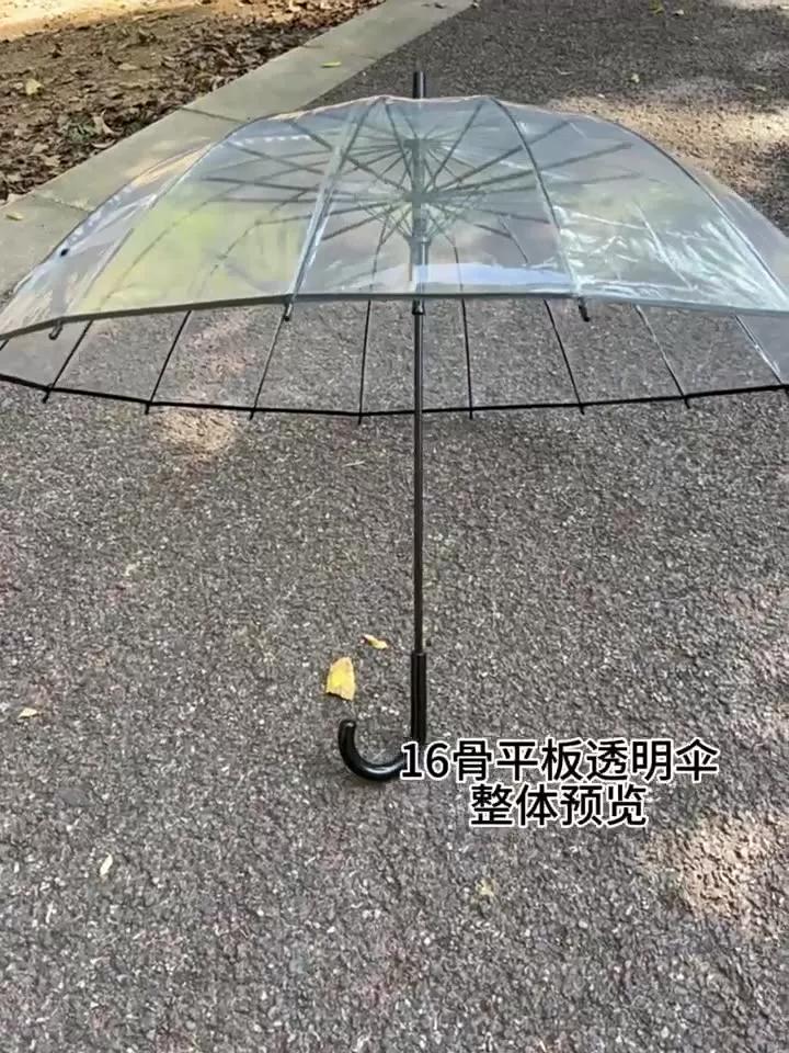 Creative Long-Handle Transparent Automatic Umbrella with White 8-Rib Curved Handle Straight Shaft Two-Person Gift Umbrella