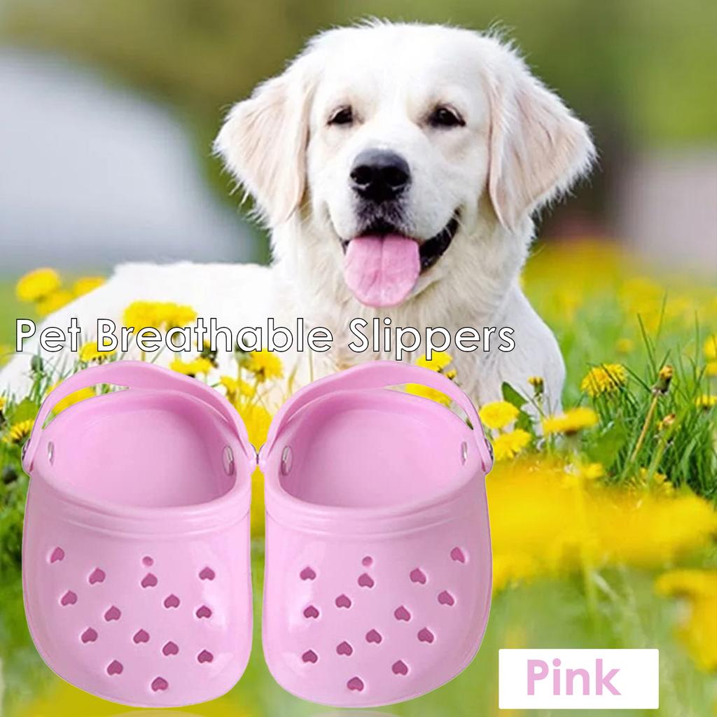 Giocattolo Masticabile per Cani Pantofole Traspiranti per Animali Domestici Calzature Antiscivolo per Cani di Taglia Grande Scarpe Bucate Color Caramella Scarpe per Cani Traspiranti in Rete Estive