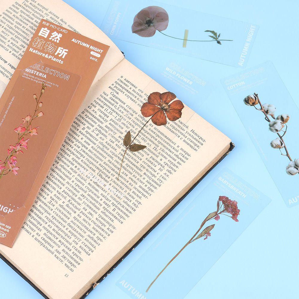 Marker Page Holder PET Specimen Bookmarks Translucent Flower Nature Plants Bookmarks Bookmarks Card