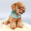 Pet Cat Shawl with Bowknot Dog Princess Shawl Lovely Casual Costumes