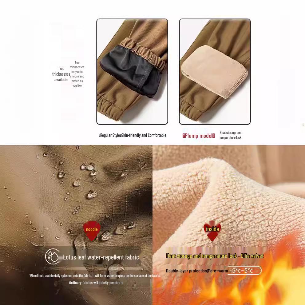 Pantalon de randonnée softshell coupe-vent et imperméable pour femmes de Bird, adapté aux sports de plein air et aux loisirs de printemps, d'automne et d'été.