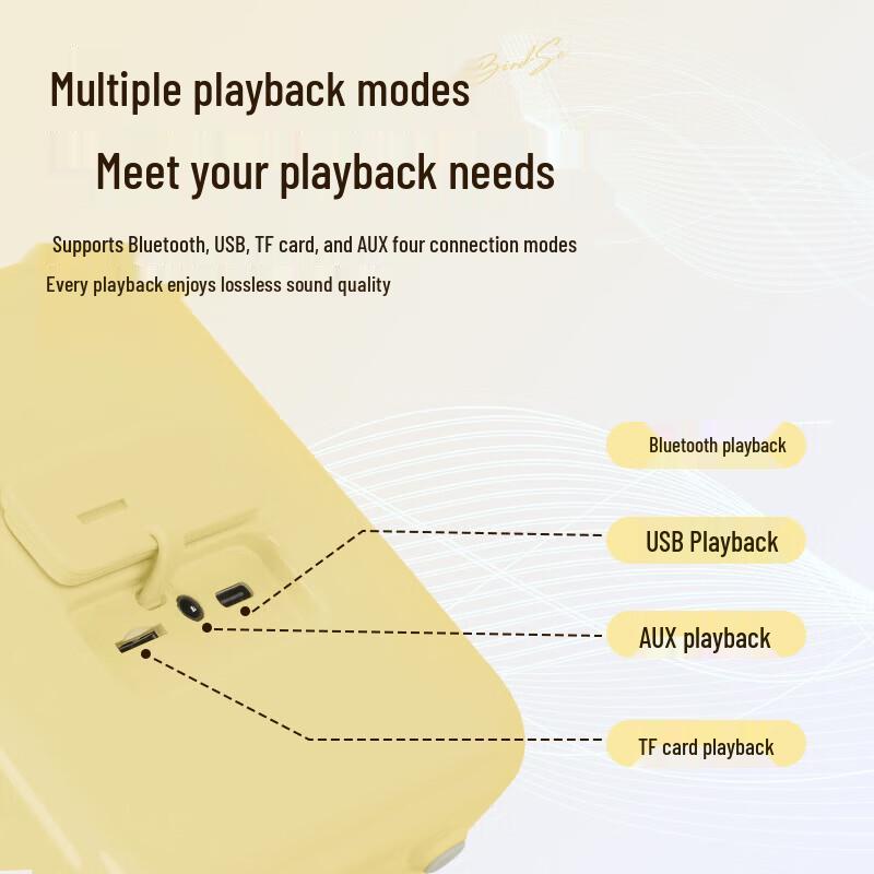 Divoom SongBird-SE Portable Karaoke Microphone & Bluetooth Speaker Set CN Plug (adapter Included)