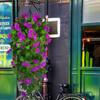 Boliginnredning – Dekorative blomster og kranser