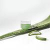 CURE Intensive 2X Cream – 1,000-Day Jeju Aloe Multi-Balm Moisturizer (30 G / 1.06 Oz)