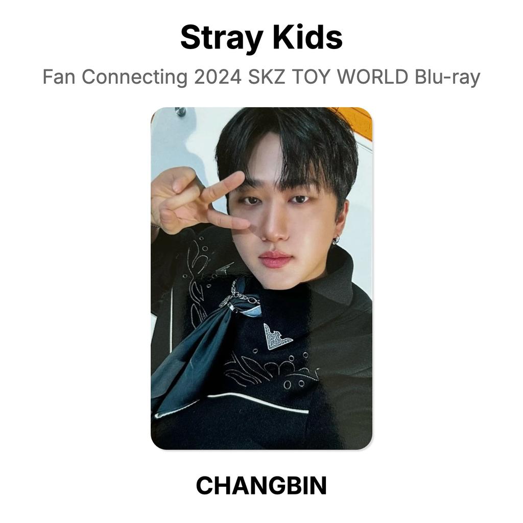 Stray Kids Fan Connecting 2024 SKZ TOY WORLD Blu-ray Official Photocard