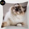 18-calowa poszewka na poduszkę z kolekcji kotów Wystrój domu i biura Kwadratowa poszewka na poduszkę