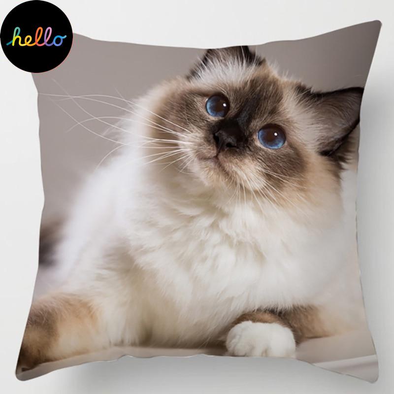 18 Inch Cat Collection Pillowcase Home and Office Decor Square Pillowcase