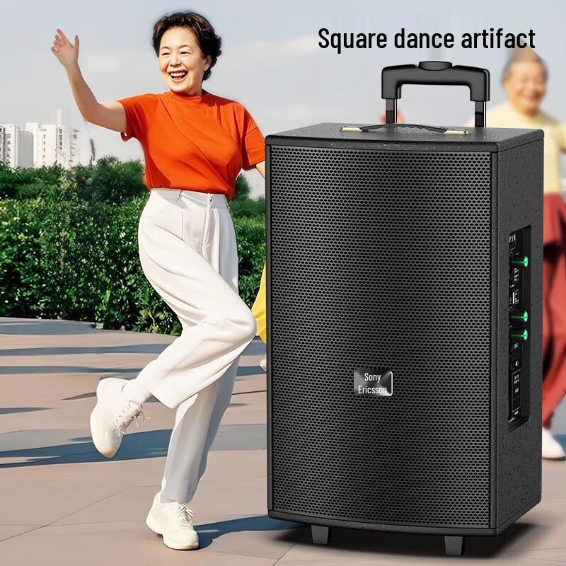 Soaiy Portable Bluetooth KTV Trolley Speaker