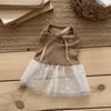Lace Dog Dress Thin Mesh Mesh Skirt Fashion Dog Clothes  Dog Accessories