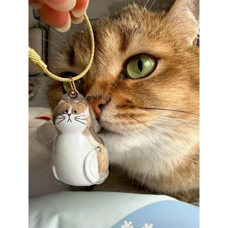 Cat Hair Storage Capsule Keychain With Acrylic Material For Collectors Gift And Party Decor
