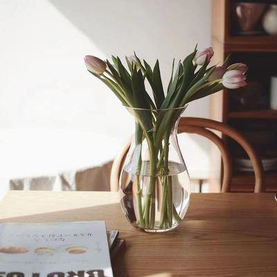Vaso in Vetro Moderno Minimalista per Tulipani e Ranuncoli - Accento Decorativo Idroponico per Soggiorno