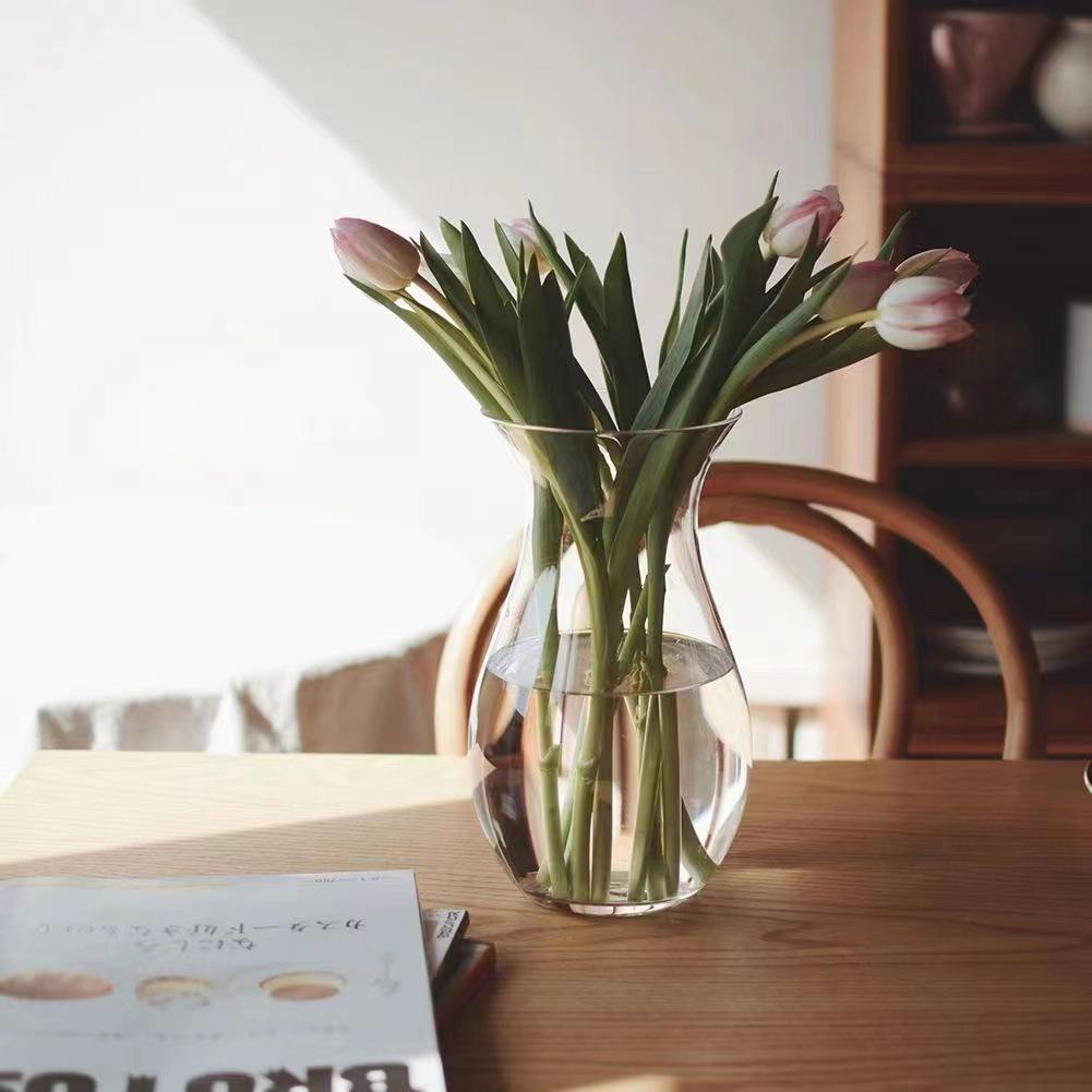 Modern Minimalist Glass Vase for Tulips & Ranunculus - Hydroponic Decor Accent for Living Room