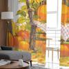 Autumn Retro Pumpkin Rocking Chair Sunflower Sheer Curtains for Kids Bedroom Living Room Voile Window Curtains Tulle Drapes