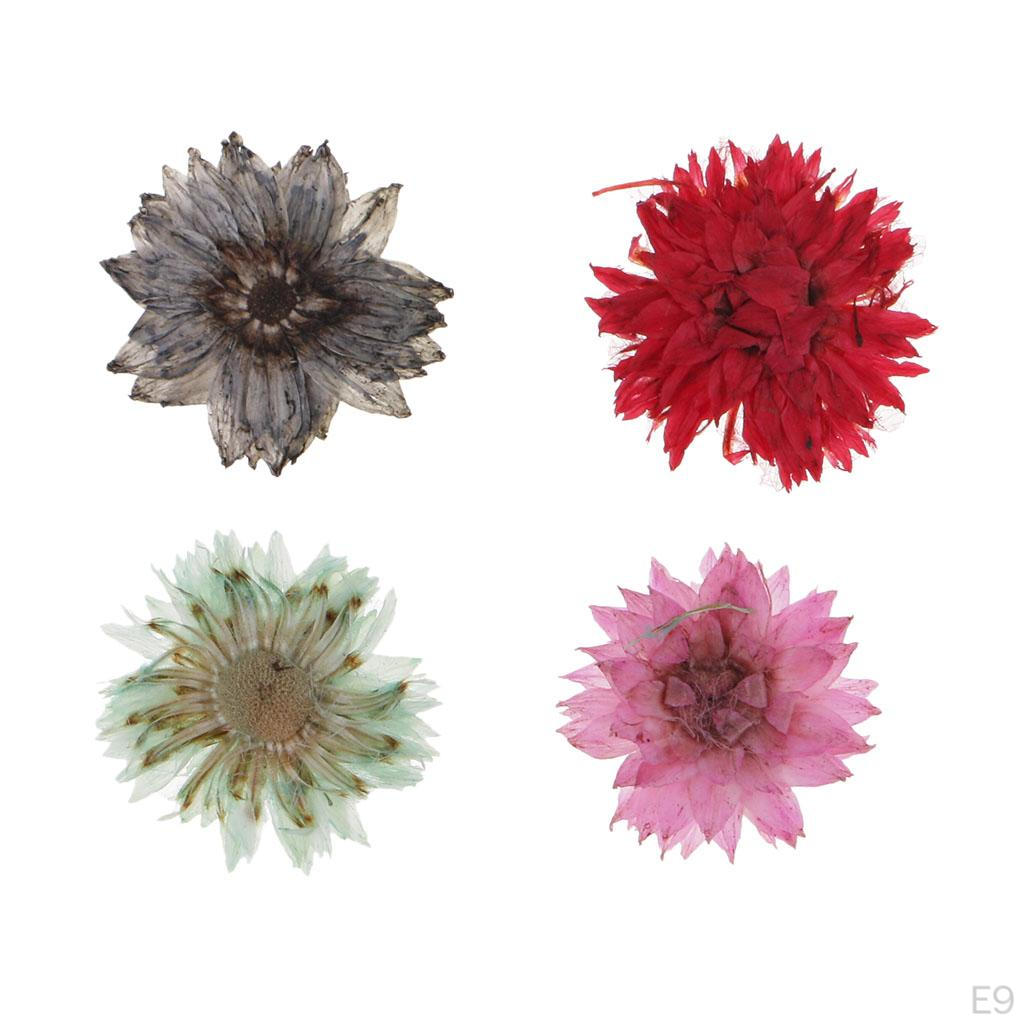 15 Piece Real Dried Pressed Flowers For DIY Scrapbooking Kunst und Skulpturen