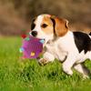 Plüsch-Hundespielzeugball mit Gesang, lustiges interaktives Haustierspielzeug mit Glöckchen, Zahnreinigungs-Kauspielzeug für kleine und große Hunde, Katzen, Welpenspielzeug