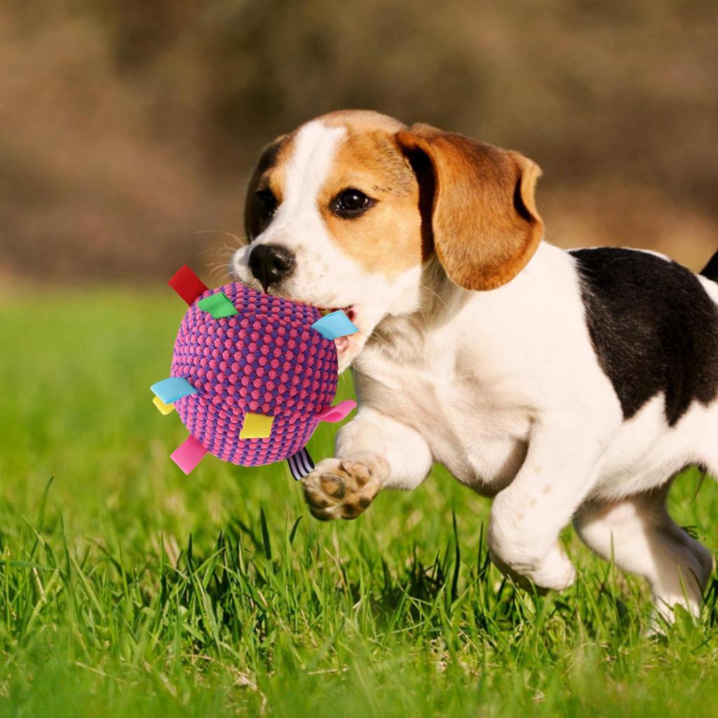 Plüsch-Hundespielzeugball mit Gesang, lustiges interaktives Haustierspielzeug mit Glöckchen, Zahnreinigungs-Kauspielzeug für kleine und große Hunde, Katzen, Welpenspielzeug