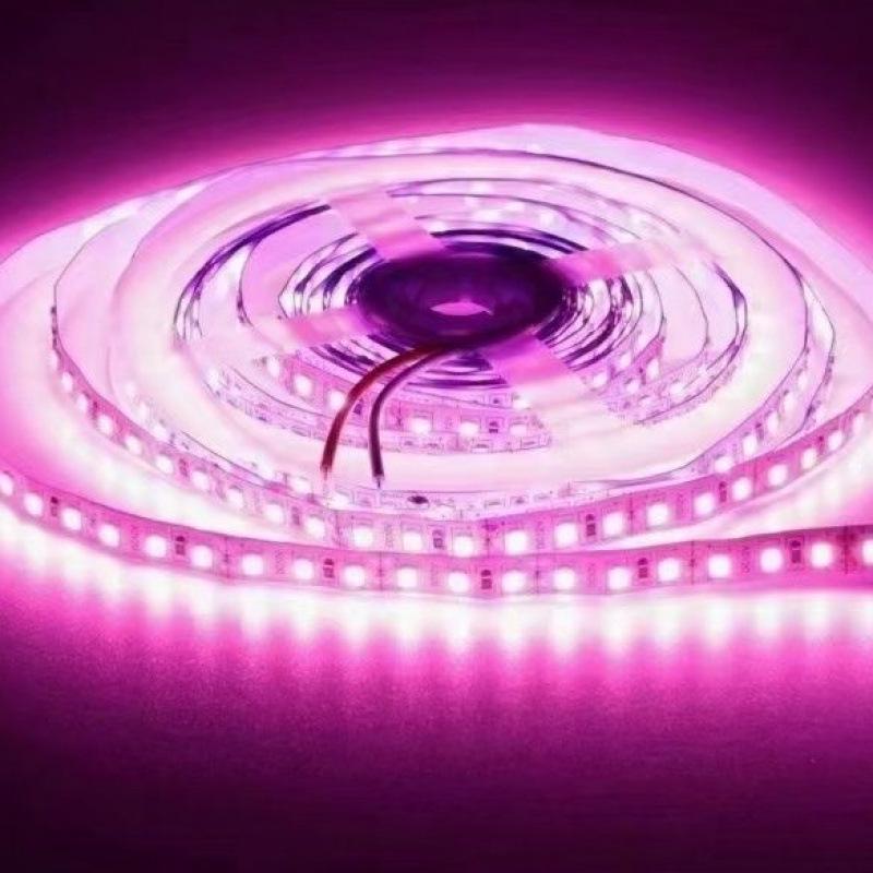 

24V Waterproof Flexible Silicone LED Light Strip – Outdoor Rainproof, Submersible, Colored, Low Voltage, Self-Adhesive 3 pairs of pure silicone end caps