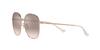 Sunglasses HC7134 Rose Brown Silver Mirror Gradient Lens 57 [Coach] Gold/Light