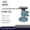 Forged Steel H44H-25C Flanged Swing Check Valve