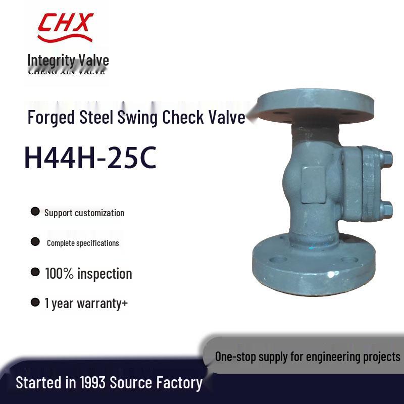 

Forged Steel H44H-25C Flanged Swing Check Valve DN15