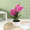 Artificial Phalaenopsis Flower Decor With Plastic And Silk Materials For Indoor Garden And Photography Props