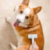Pet Fur Knot Cutter Cat Hair Remover Comb Cat Grooming Shedding Tools Double Sided Brush Long Curly Hair Cleaner Pets Products