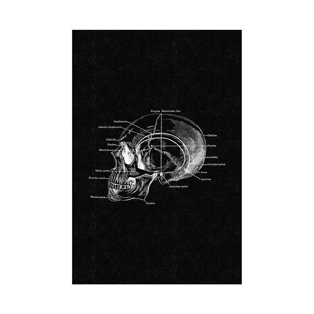 Canvas Printing Human Anatomy Artwork Wall Art Poster Skeleton Organ Muscular System Vintage Home Decor